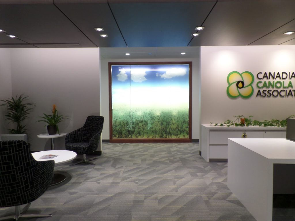 CCGA | Canadian Canola Growers Association